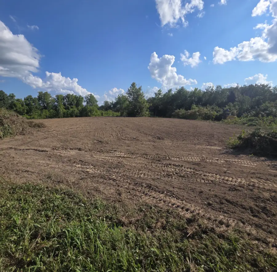 Freshly cleared land under a blue sky